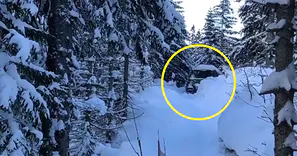 "Patrzcie, co mamy". Nagranie z polskich Tatr obiegło media społecznościowe